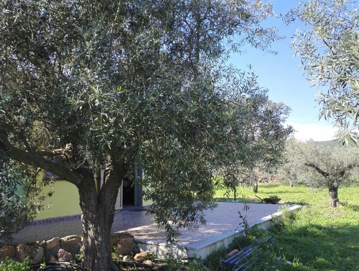 Agriturismo "Pirastreri" Siniscola Exterior photo